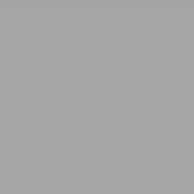 Ral 9006 (Gris plata)